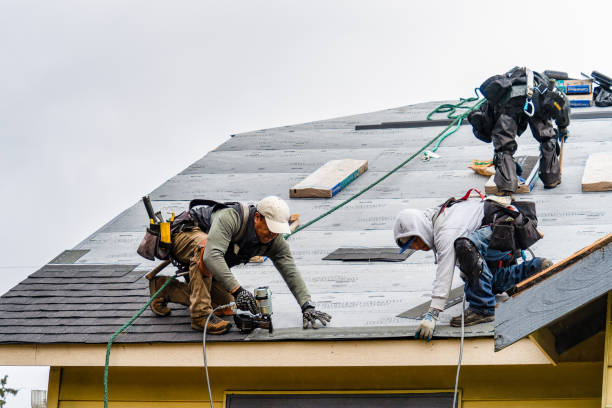 Professional Gutter Installation technician working in Wentworth, NC